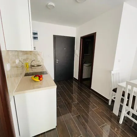 Zivkovic Srebrno Jezero דירה *