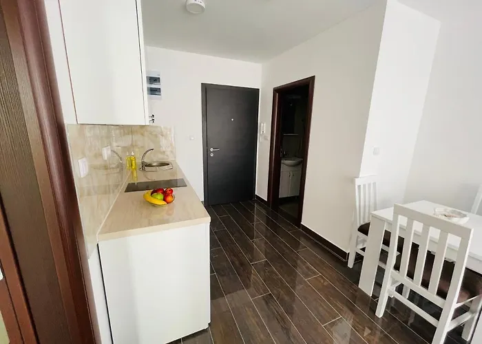 Zivkovic Srebrno Jezero Apartament *